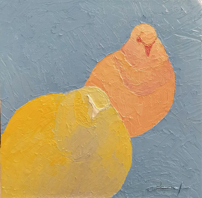 两只鸽子  30cm✖30cm   2022
